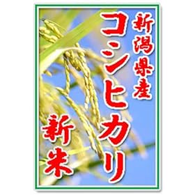 �y�V��23�N�Y�z�c�ӂ���Ƃ̗L�@���엿100���E�ጸ�_��@�V�����Y�R�V�q�J��100%�@���ā@5kg�@�������Ȃ���������t
