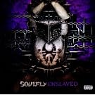 Enslaved