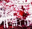 OrganLanguage