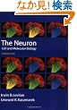 The Neuron: Cell and Molecular Biology