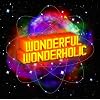 WONDERFUL WONDERHOLIC