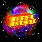 WONDERFUL WONDERHOLIC