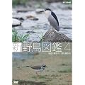 �V �쒹�}�� ��4�W ���ӂɐ��ޒ�/���ɐ��ޒ� [DVD]