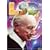 LSD �v���u�����`���C���h&�����_�[�h���b�O [DVD]