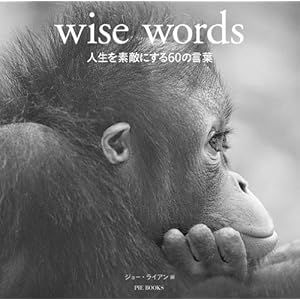 【クリックで詳細表示】wise words―人生を素敵にする60の言葉： ジョー ライアン， 多田 文子， 黒宮 純子： 本