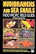 Nudibranchs and Sea Snails: Indo-Pacific Field Guide
