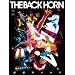 �n���̃p���X [DVD]
