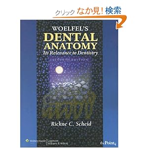 【クリックでお店のこの商品のページへ】Woelfel’s Dental Anatomy (Point (Lippincott Williams & Wilkins)): Rickne C. Scheid DDS MEd: 洋書