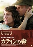 �J�e�B���̐X [DVD]