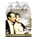 ������̏ [DVD]