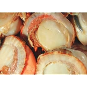 SHUEI �󂠂� �X�[�p�[�x�r�[�z�^�e(�{�C��)1kg�ܓ�