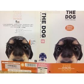 THE DOG �~�j�`���A�E�_�b�N�X�t���h [VHS]