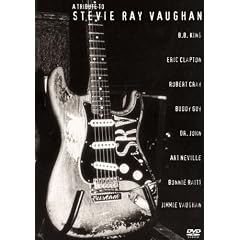 �X�e�B�[���B�[�E���C�E���H�[���E�g���r���[�g [DVD]