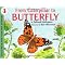 I love butterflies and flowers