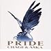 PRIDE�y���񐶎Y����Ձz