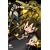 �� ��3�� �i�����J 3 [DVD]