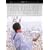 ���C���E�A�b�g�E�E�b�h�X�g�b�N~�f���b�N�X�E�G�f�B�V���� [DVD]