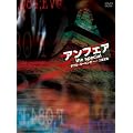 �A���t�F�A�@the special�@~�_�u���E�~�[�j���O�@��d��`~ [DVD]