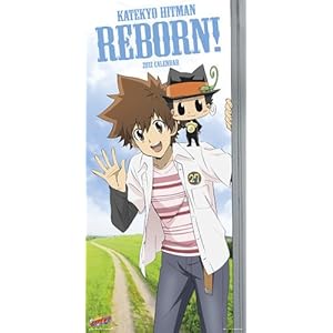 【クリックで詳細表示】家庭教師ヒットマンREBORN！(B) [2012年 カレンダー] [カレンダー]