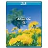 virtual trip�@�ԁ@Flower�@�l�G�̎R�쑐�ƍ��R�A�� [Blu-ray]