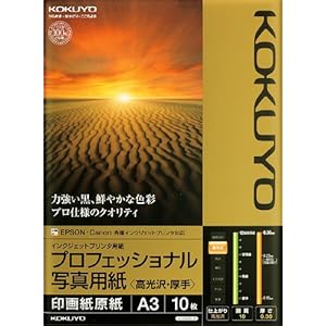 【クリックで詳細表示】インクジェットプロ写真紙高光沢・厚手A3 10枚