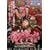 ���E�R�m�C���O���b�h~episode01 �C���O���b�h���c~ [DVD]