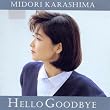 Hello Goodbye