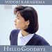 Hello Goodbye