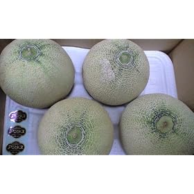 �F�{�E���E�R�`���Y�A���f�X�������唠4~6����