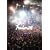 FREEDOM 08 [DVD]