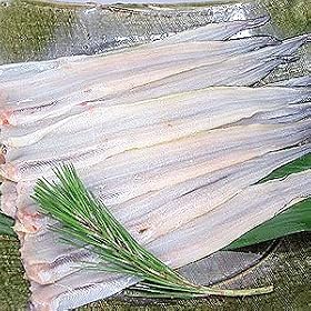 ���Ȃ� ���q �t�B��60g�~10�����肠�Ȃ�