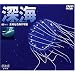 �[�C/���m�Ȃ�C�̉F�� [DVD]