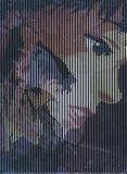 [DVD]梁田清之 パーフェクトブルー 【初回限定版】 [DVD]