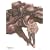 FREEDOM 1 [DVD]