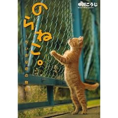 �̂�˂��B -�������Ȗ��̕���-