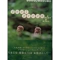 feel green�\�����낪�y���Ȃ鑡�蕨