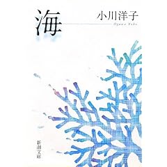 �C (�V������)