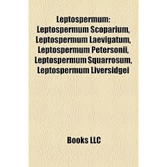 Leptospermum: Leptospermum Scoparium, Leptospermum Laevigatum, Leptospermum Petersonii, Leptospermum Squarrosum, Leptospermum Livers