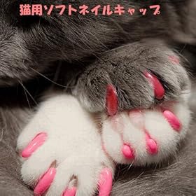 �L �\�t�g �l�C�� �L���b�v �N���A�[ K