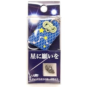 ���Ɋ肢���@�i����Γ���j
