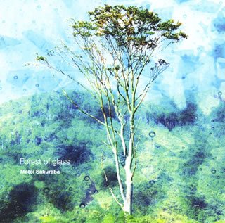  Forest of glass
