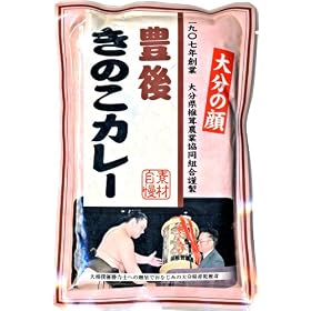 �啪�̊�<br>�y�L�カ�̂��J���[�z�i�啪���̂����n�J���[�j