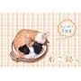 �˂���J�����_�[2008(Amazon.co.jp�Ɛ�̔�)
