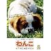�����I�q�b�g�́u�ɂ�� THE MOVIE�v&�u���傤�̂�񂱁v�̐���X�^�b�t������A"�߂��܂����[�r�["��2�e