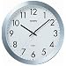 CASIO (�J�V�I) �|�����v �A�i���O IQ-76-8JF