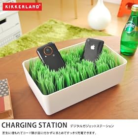 CHARGING STATION.�^���[�G�݁^�z���C�g