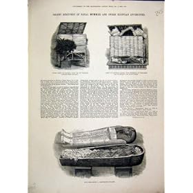 1882 �̃A�[����hotep Chest Papyrus Wig ���̉�������