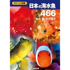 �|�P�b�g�}�� ���{�̊C����466