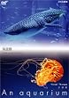NHKDVD ������~An Aquarium~ �C�V��