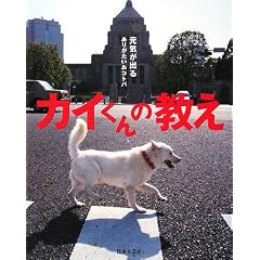 �J�C����̋����\���C���o�邠�肪�������R�g�o